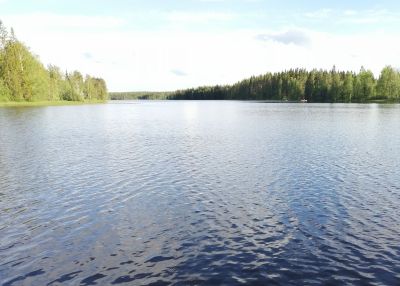 j&auml;rvi