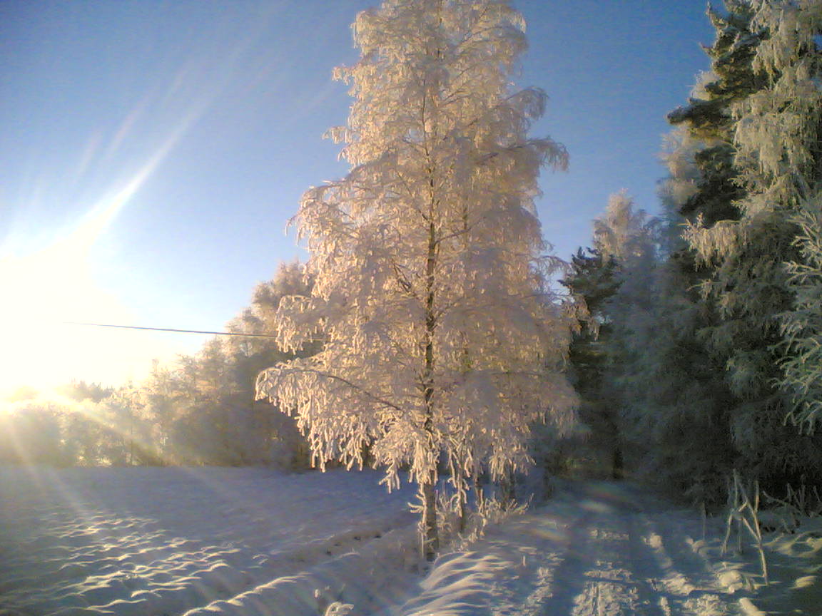 MAISEMA